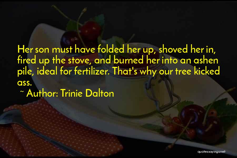 Trinie Dalton Quotes: Her Son Must Have Folded Her Up, Shoved Her In, Fired Up The Stove, And Burned Her Into An Ashen