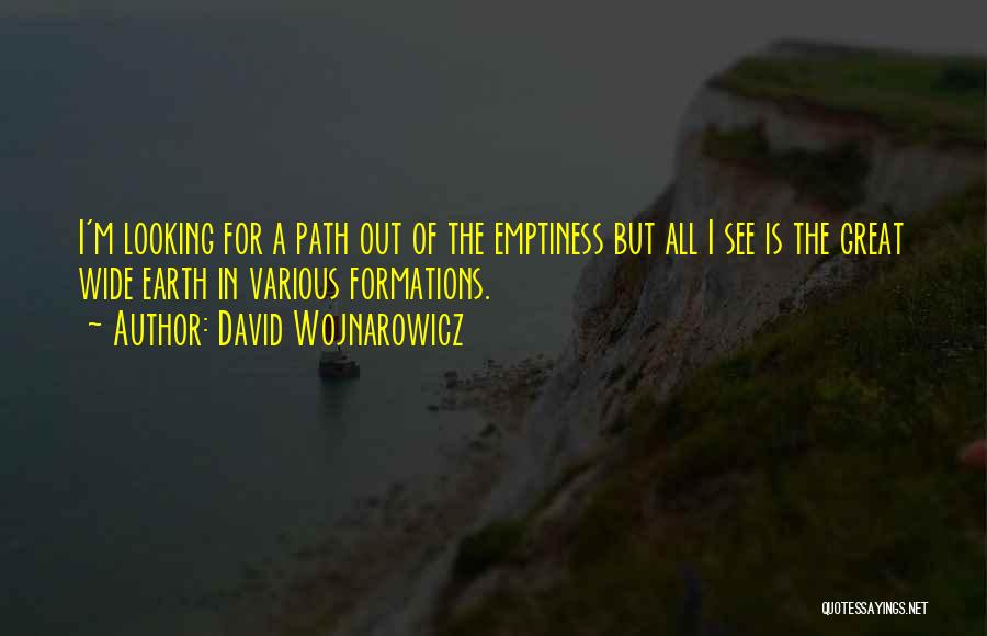 David Wojnarowicz Quotes: I'm Looking For A Path Out Of The Emptiness But All I See Is The Great Wide Earth In Various