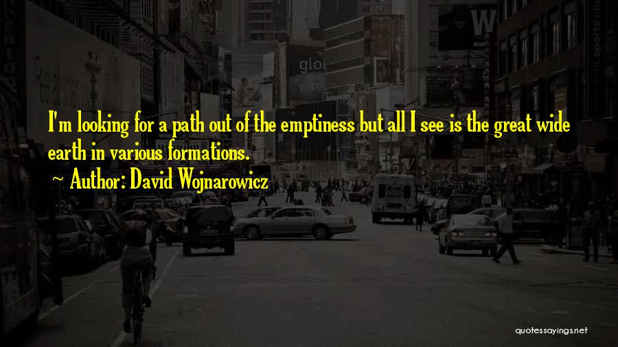 David Wojnarowicz Quotes: I'm Looking For A Path Out Of The Emptiness But All I See Is The Great Wide Earth In Various