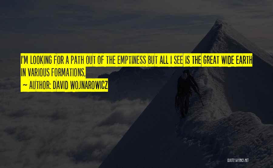 David Wojnarowicz Quotes: I'm Looking For A Path Out Of The Emptiness But All I See Is The Great Wide Earth In Various