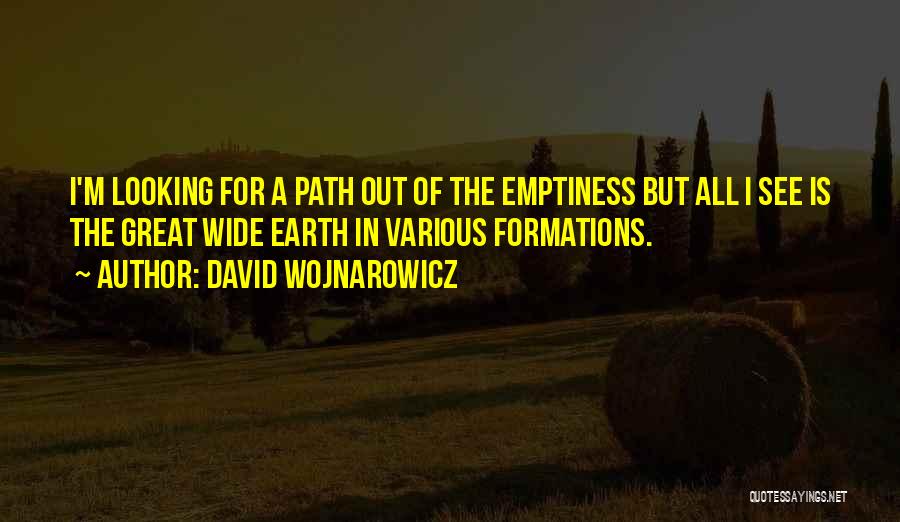 David Wojnarowicz Quotes: I'm Looking For A Path Out Of The Emptiness But All I See Is The Great Wide Earth In Various