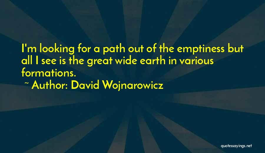 David Wojnarowicz Quotes: I'm Looking For A Path Out Of The Emptiness But All I See Is The Great Wide Earth In Various
