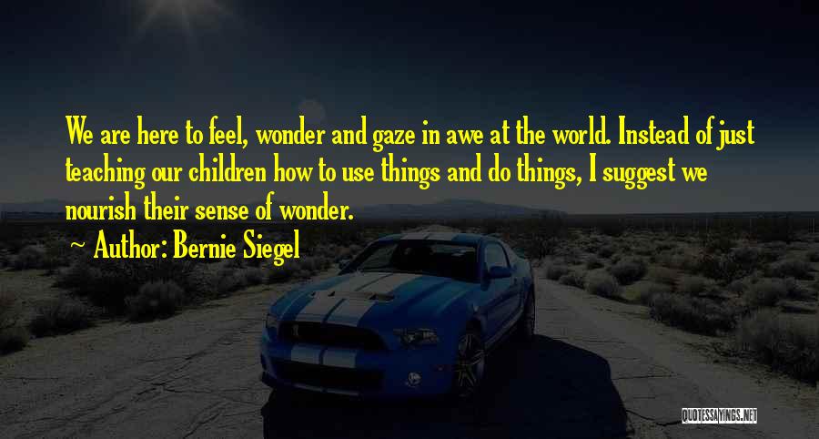 Bernie Siegel Quotes: We Are Here To Feel, Wonder And Gaze In Awe At The World. Instead Of Just Teaching Our Children How