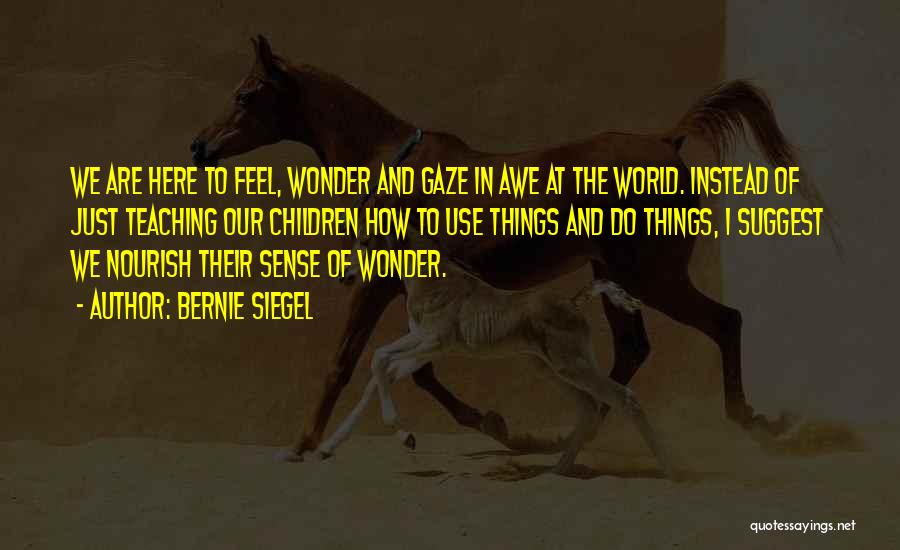 Bernie Siegel Quotes: We Are Here To Feel, Wonder And Gaze In Awe At The World. Instead Of Just Teaching Our Children How