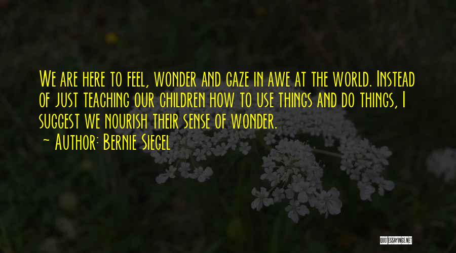 Bernie Siegel Quotes: We Are Here To Feel, Wonder And Gaze In Awe At The World. Instead Of Just Teaching Our Children How
