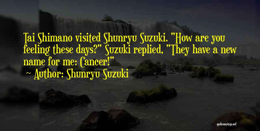 Shunryu Suzuki Quotes: Tai Shimano Visited Shunryu Suzuki. How Are You Feeling These Days? Suzuki Replied, They Have A New Name For Me: