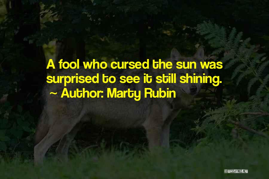 Marty Rubin Quotes: A Fool Who Cursed The Sun Was Surprised To See It Still Shining.