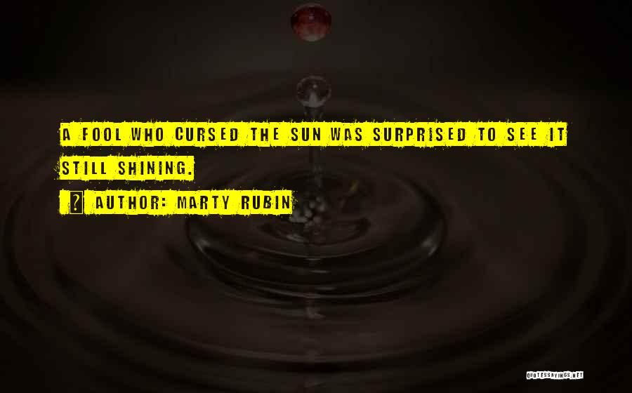 Marty Rubin Quotes: A Fool Who Cursed The Sun Was Surprised To See It Still Shining.