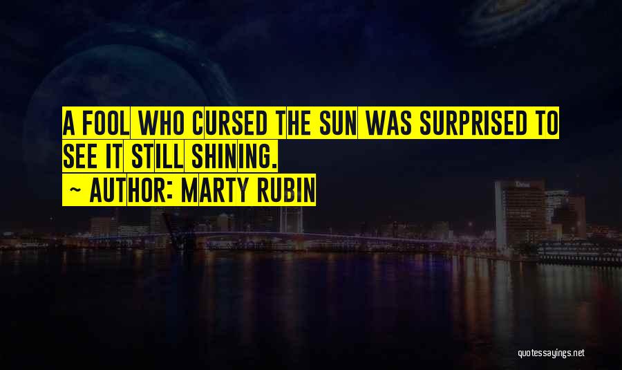 Marty Rubin Quotes: A Fool Who Cursed The Sun Was Surprised To See It Still Shining.