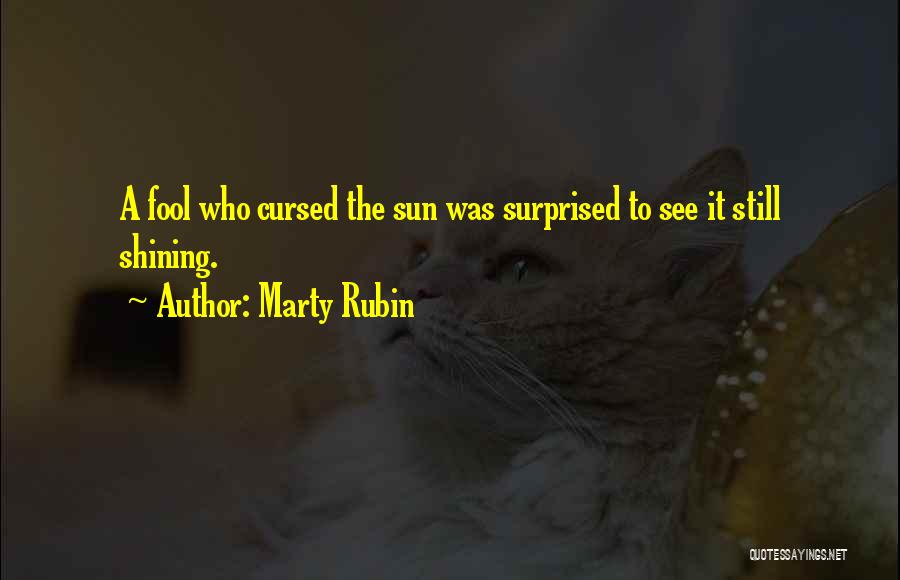 Marty Rubin Quotes: A Fool Who Cursed The Sun Was Surprised To See It Still Shining.