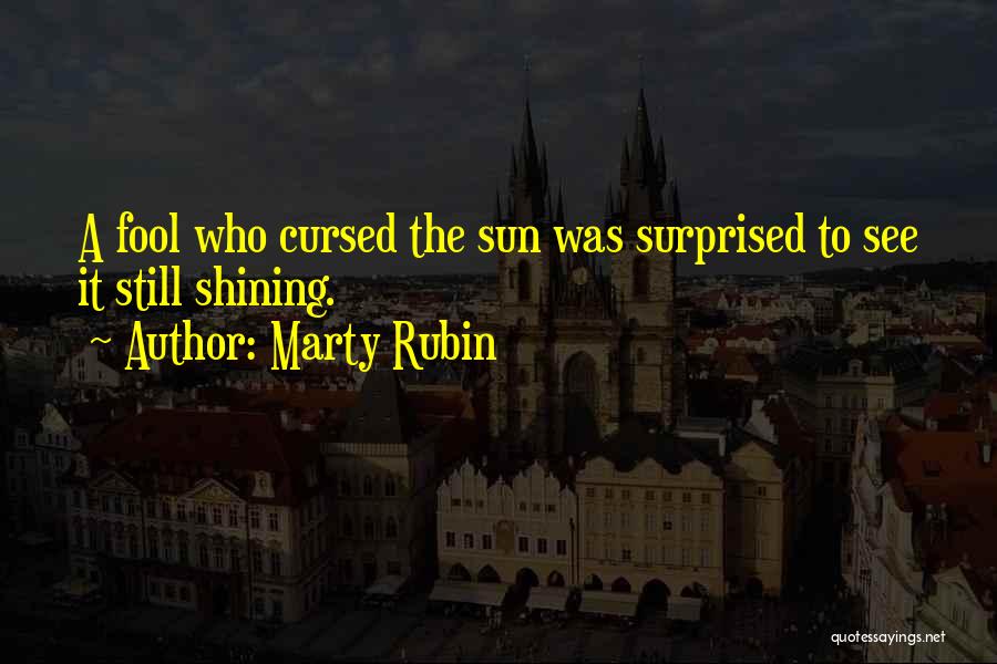 Marty Rubin Quotes: A Fool Who Cursed The Sun Was Surprised To See It Still Shining.