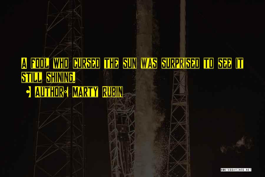 Marty Rubin Quotes: A Fool Who Cursed The Sun Was Surprised To See It Still Shining.