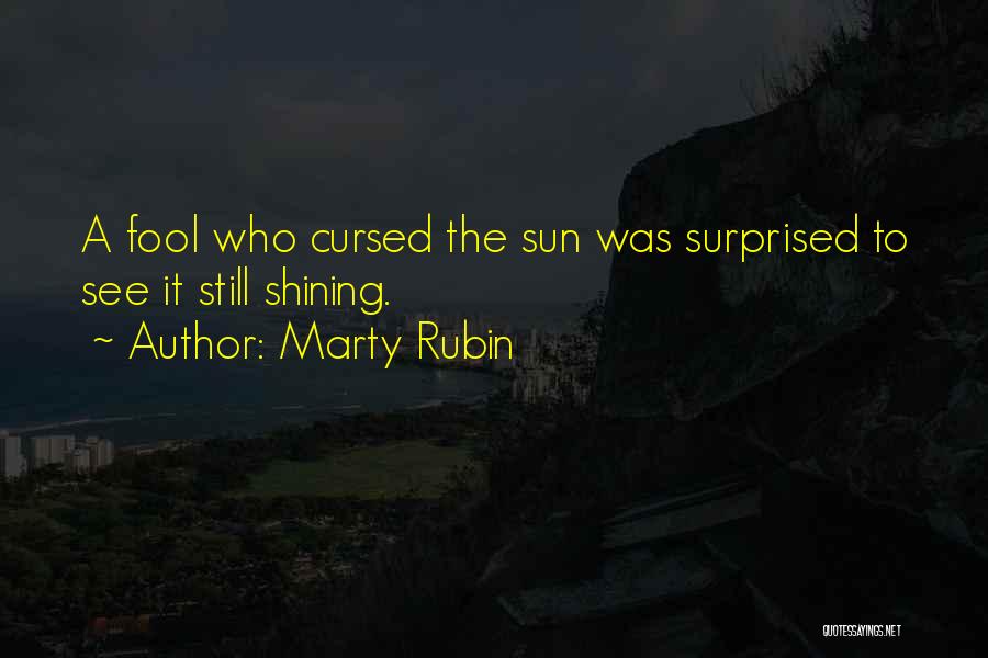 Marty Rubin Quotes: A Fool Who Cursed The Sun Was Surprised To See It Still Shining.