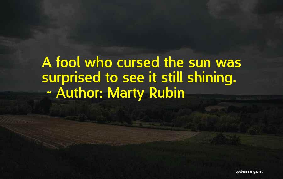 Marty Rubin Quotes: A Fool Who Cursed The Sun Was Surprised To See It Still Shining.