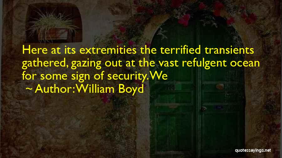 William Boyd Quotes: Here At Its Extremities The Terrified Transients Gathered, Gazing Out At The Vast Refulgent Ocean For Some Sign Of Security.