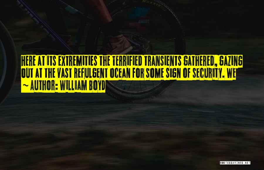 William Boyd Quotes: Here At Its Extremities The Terrified Transients Gathered, Gazing Out At The Vast Refulgent Ocean For Some Sign Of Security.