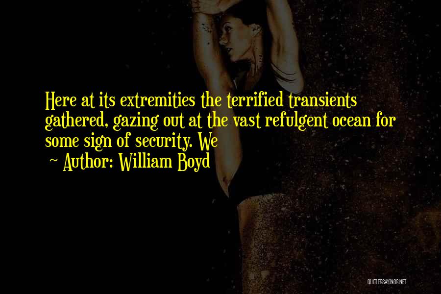 William Boyd Quotes: Here At Its Extremities The Terrified Transients Gathered, Gazing Out At The Vast Refulgent Ocean For Some Sign Of Security.