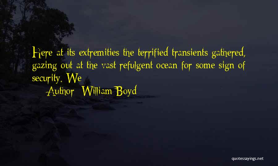 William Boyd Quotes: Here At Its Extremities The Terrified Transients Gathered, Gazing Out At The Vast Refulgent Ocean For Some Sign Of Security.