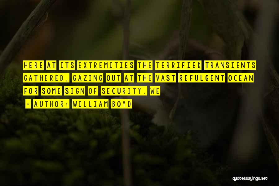 William Boyd Quotes: Here At Its Extremities The Terrified Transients Gathered, Gazing Out At The Vast Refulgent Ocean For Some Sign Of Security.