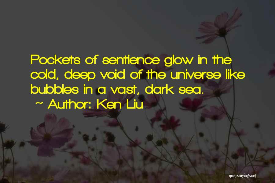 Ken Liu Quotes: Pockets Of Sentience Glow In The Cold, Deep Void Of The Universe Like Bubbles In A Vast, Dark Sea.