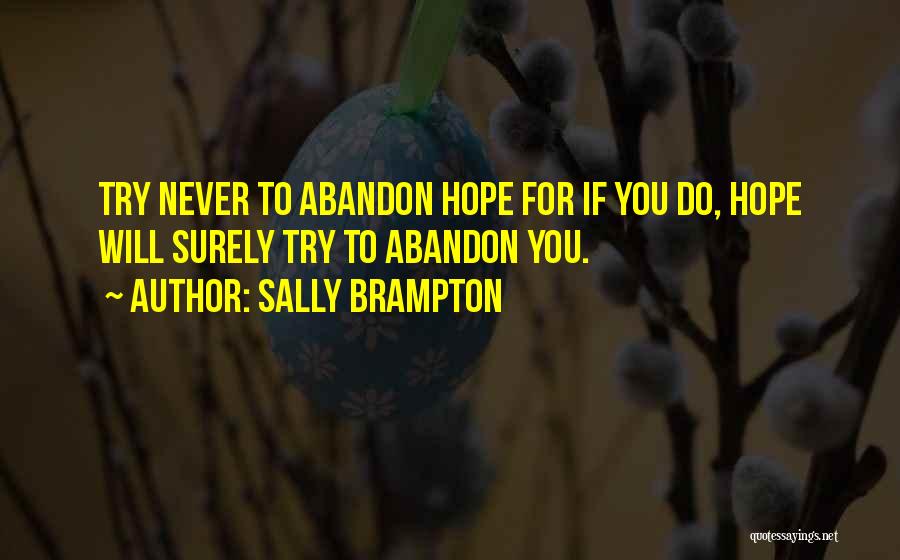 Sally Brampton Quotes: Try Never To Abandon Hope For If You Do, Hope Will Surely Try To Abandon You.