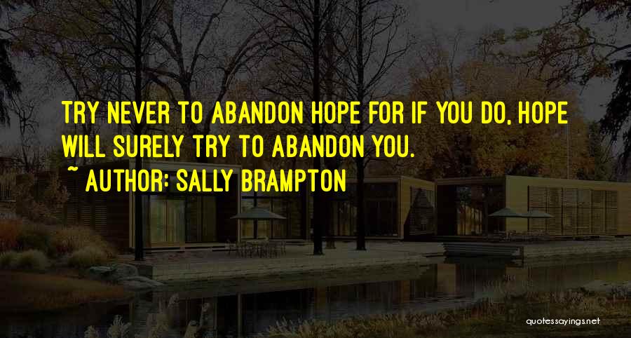 Sally Brampton Quotes: Try Never To Abandon Hope For If You Do, Hope Will Surely Try To Abandon You.