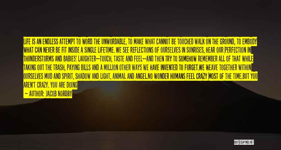 Jacob Nordby Quotes: Life Is An Endless Attempt To Word The Unwordable, To Make What Cannot Be Touched Walk On The Ground, To