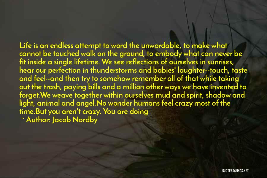 Jacob Nordby Quotes: Life Is An Endless Attempt To Word The Unwordable, To Make What Cannot Be Touched Walk On The Ground, To