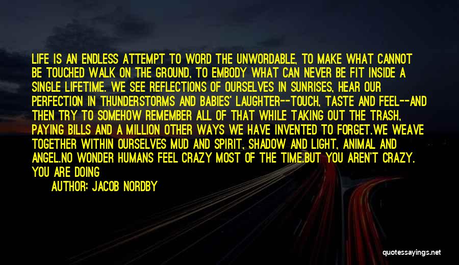 Jacob Nordby Quotes: Life Is An Endless Attempt To Word The Unwordable, To Make What Cannot Be Touched Walk On The Ground, To