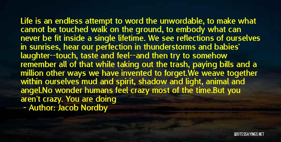 Jacob Nordby Quotes: Life Is An Endless Attempt To Word The Unwordable, To Make What Cannot Be Touched Walk On The Ground, To