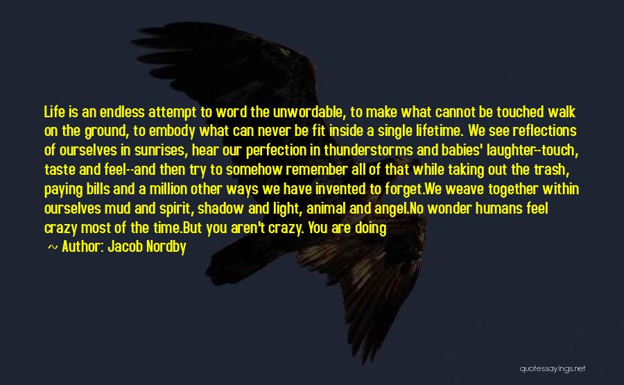 Jacob Nordby Quotes: Life Is An Endless Attempt To Word The Unwordable, To Make What Cannot Be Touched Walk On The Ground, To