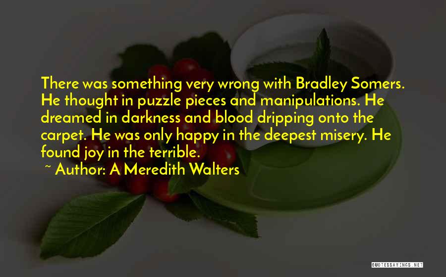 A Meredith Walters Quotes: There Was Something Very Wrong With Bradley Somers. He Thought In Puzzle Pieces And Manipulations. He Dreamed In Darkness And