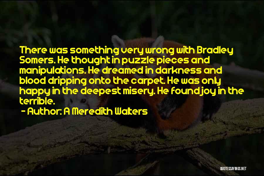 A Meredith Walters Quotes: There Was Something Very Wrong With Bradley Somers. He Thought In Puzzle Pieces And Manipulations. He Dreamed In Darkness And