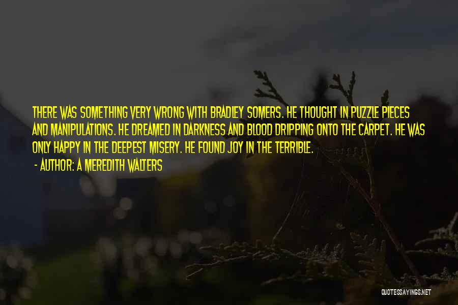 A Meredith Walters Quotes: There Was Something Very Wrong With Bradley Somers. He Thought In Puzzle Pieces And Manipulations. He Dreamed In Darkness And