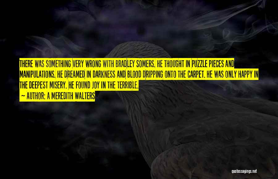 A Meredith Walters Quotes: There Was Something Very Wrong With Bradley Somers. He Thought In Puzzle Pieces And Manipulations. He Dreamed In Darkness And