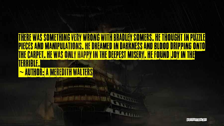 A Meredith Walters Quotes: There Was Something Very Wrong With Bradley Somers. He Thought In Puzzle Pieces And Manipulations. He Dreamed In Darkness And