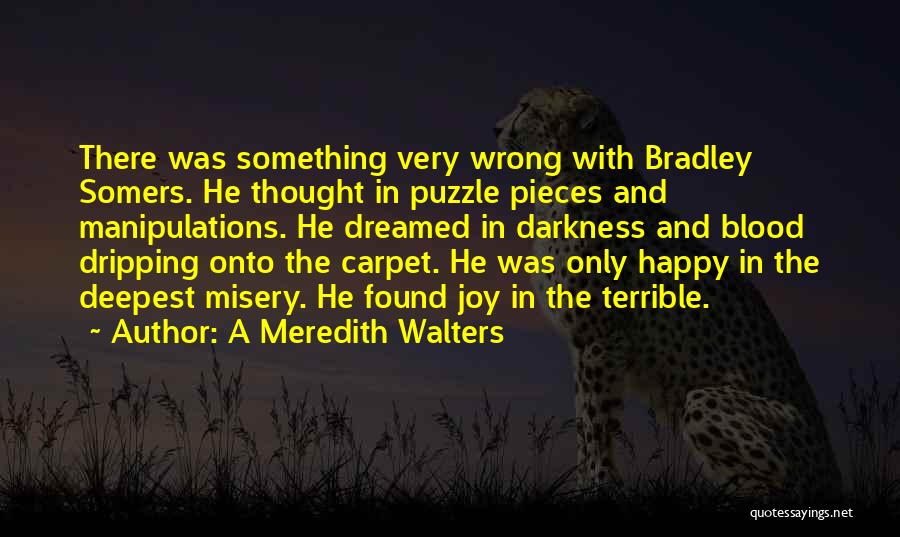 A Meredith Walters Quotes: There Was Something Very Wrong With Bradley Somers. He Thought In Puzzle Pieces And Manipulations. He Dreamed In Darkness And