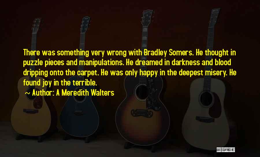 A Meredith Walters Quotes: There Was Something Very Wrong With Bradley Somers. He Thought In Puzzle Pieces And Manipulations. He Dreamed In Darkness And