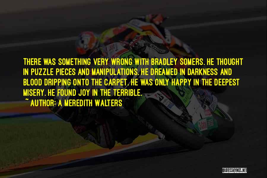 A Meredith Walters Quotes: There Was Something Very Wrong With Bradley Somers. He Thought In Puzzle Pieces And Manipulations. He Dreamed In Darkness And
