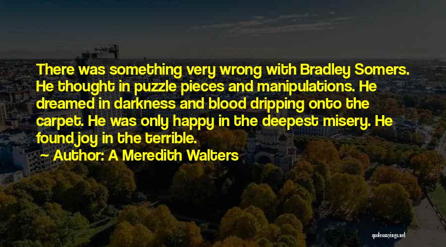 A Meredith Walters Quotes: There Was Something Very Wrong With Bradley Somers. He Thought In Puzzle Pieces And Manipulations. He Dreamed In Darkness And