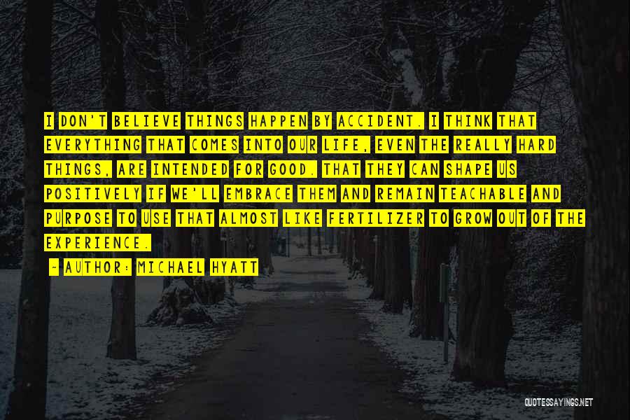 Michael Hyatt Quotes: I Don't Believe Things Happen By Accident. I Think That Everything That Comes Into Our Life, Even The Really Hard