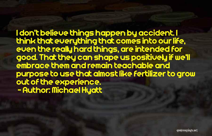 Michael Hyatt Quotes: I Don't Believe Things Happen By Accident. I Think That Everything That Comes Into Our Life, Even The Really Hard