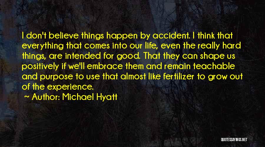 Michael Hyatt Quotes: I Don't Believe Things Happen By Accident. I Think That Everything That Comes Into Our Life, Even The Really Hard