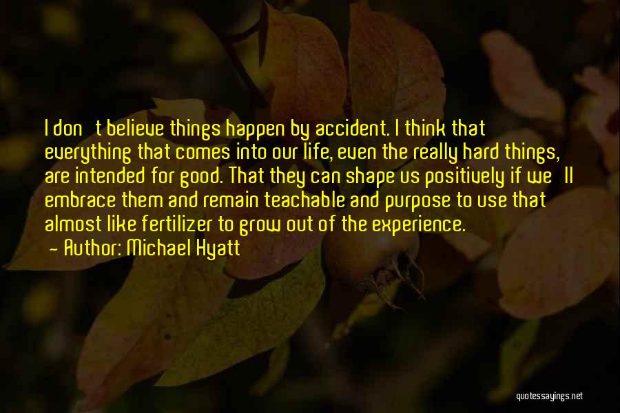 Michael Hyatt Quotes: I Don't Believe Things Happen By Accident. I Think That Everything That Comes Into Our Life, Even The Really Hard