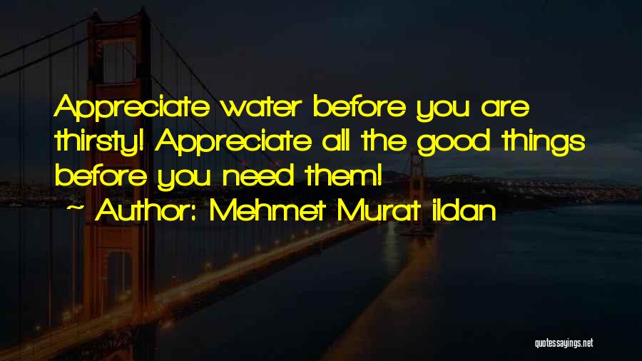 Mehmet Murat Ildan Quotes: Appreciate Water Before You Are Thirsty! Appreciate All The Good Things Before You Need Them!