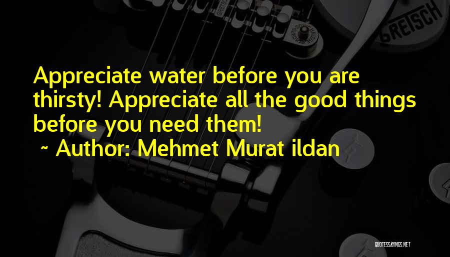 Mehmet Murat Ildan Quotes: Appreciate Water Before You Are Thirsty! Appreciate All The Good Things Before You Need Them!