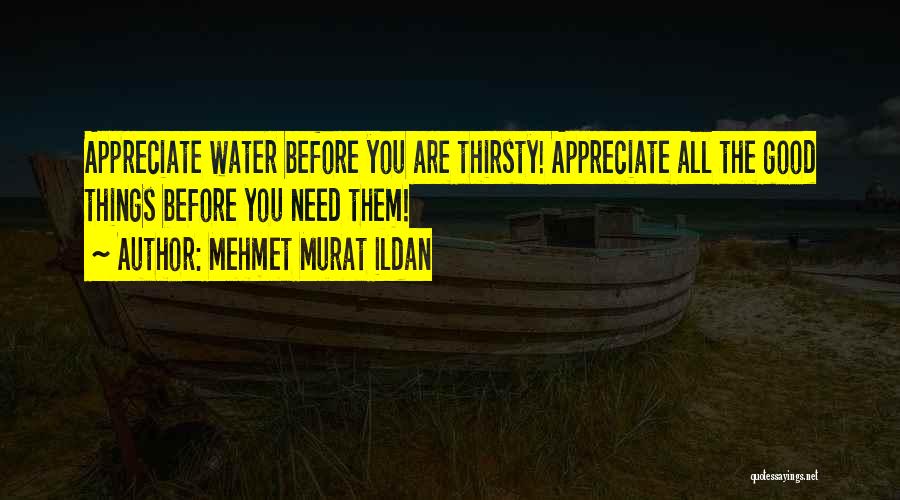 Mehmet Murat Ildan Quotes: Appreciate Water Before You Are Thirsty! Appreciate All The Good Things Before You Need Them!