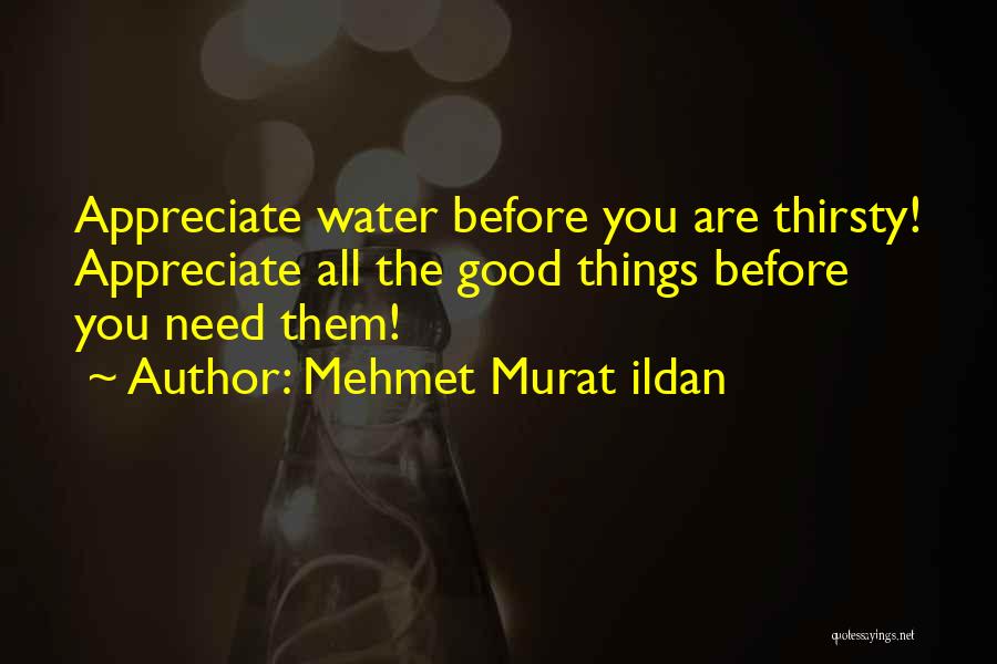 Mehmet Murat Ildan Quotes: Appreciate Water Before You Are Thirsty! Appreciate All The Good Things Before You Need Them!