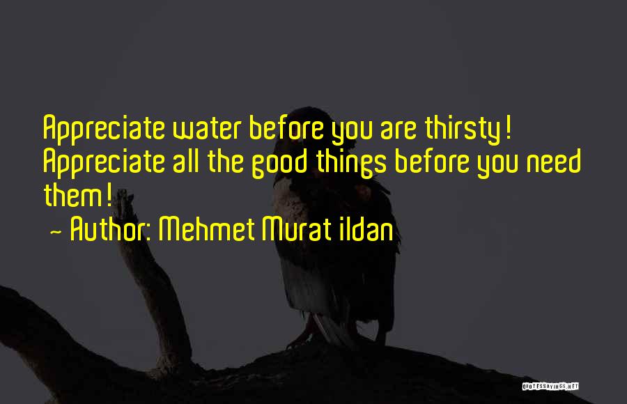 Mehmet Murat Ildan Quotes: Appreciate Water Before You Are Thirsty! Appreciate All The Good Things Before You Need Them!