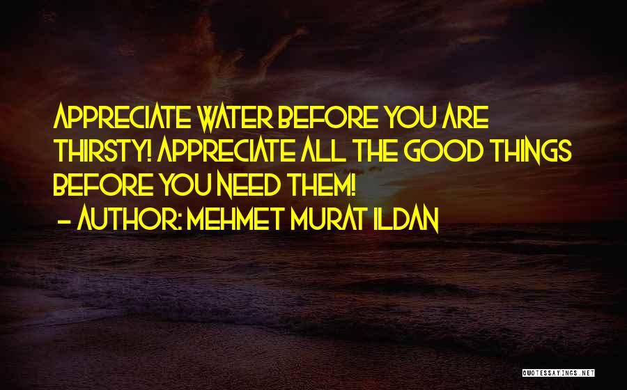 Mehmet Murat Ildan Quotes: Appreciate Water Before You Are Thirsty! Appreciate All The Good Things Before You Need Them!